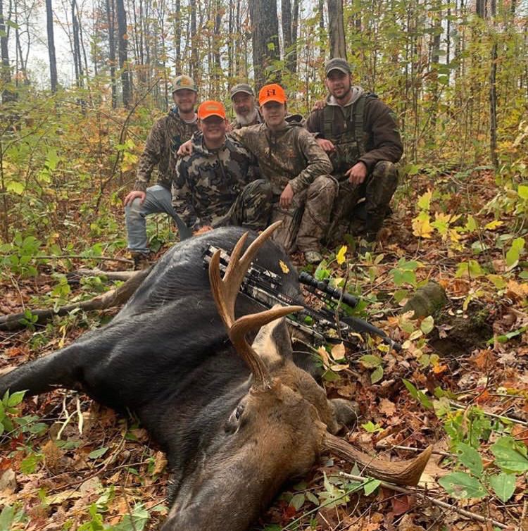 moose-2